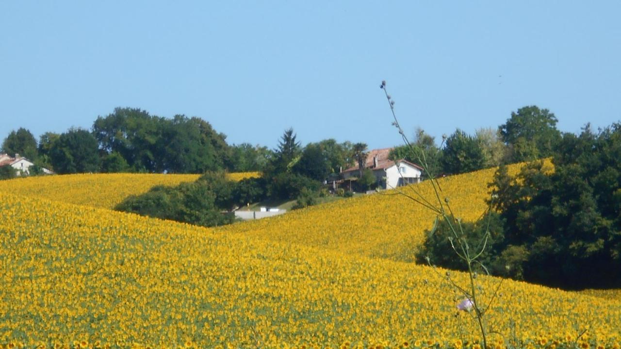 La Tranquillite, Le Repos Villa Nanteuil-Auriac-de-Bourzac Exteriör bild